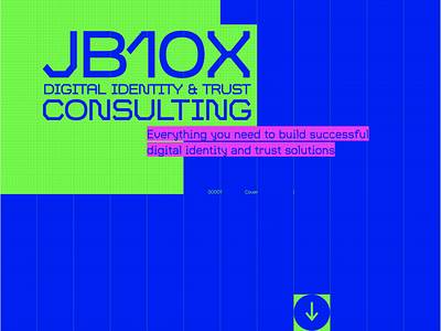 JB10X Digital Identity & Trust Consulting visual grid