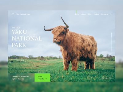 National Park animal design landing park ui ux web design yak