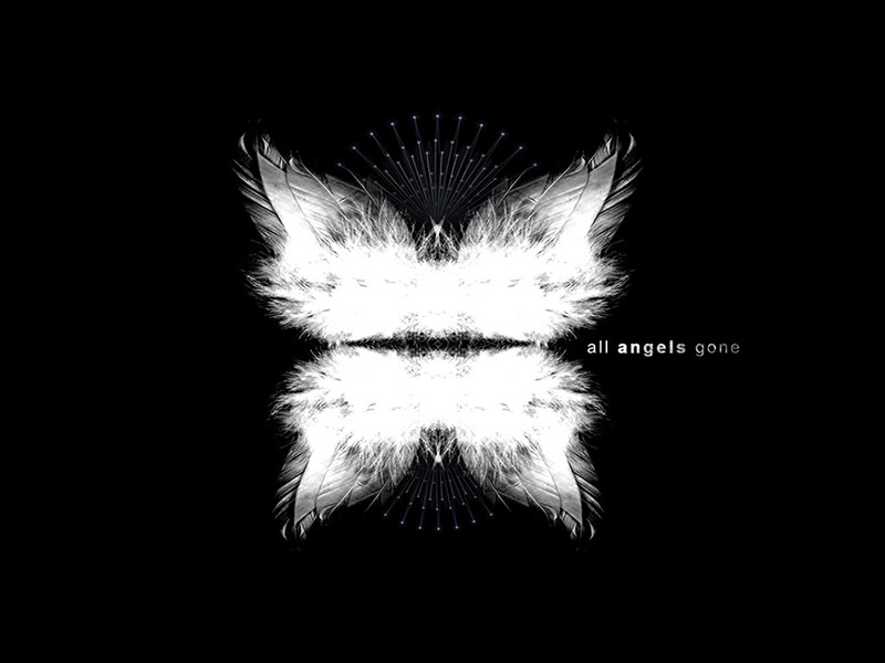 all angels gone by Jérôme Berthemet on Dribbble