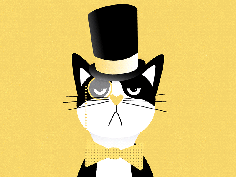 Fancy Cat after effects animation cat character illustrator mixed parts motion graphics