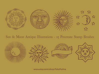 Sun and Moon Procreate Brushes - Antique Illustrations procreate brushes procreateapp procreateart