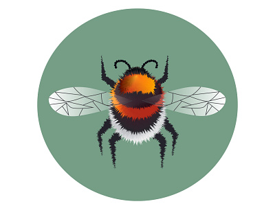 Bee art bee design fly flyer honey honeybee icon illustration vector