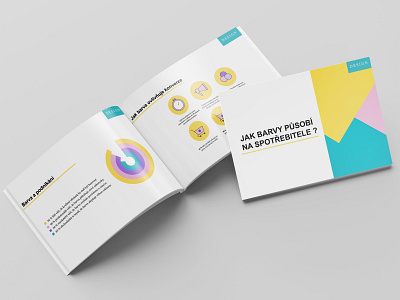 Brochure branding brochure design color diagram icons indesign presentation design vector