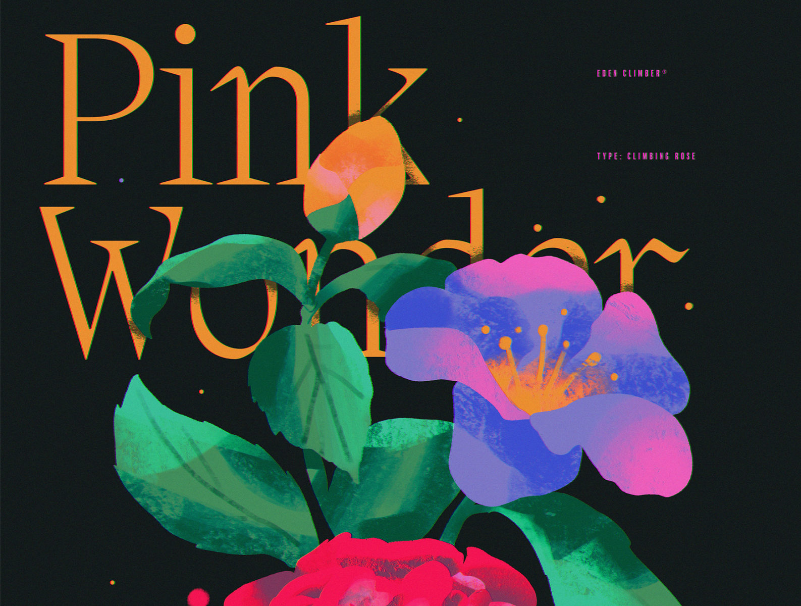 Pink Wonder design ipad pro texture abstract anime poster illustration