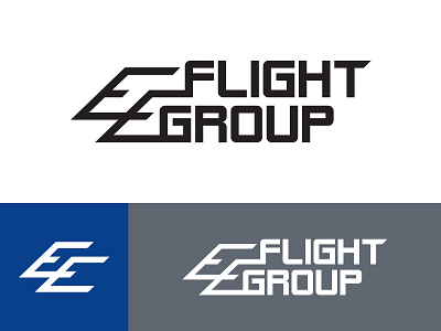 EE Flight Group aircraft airline branding e logo flight