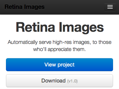 Retina Images development php project retina website design
