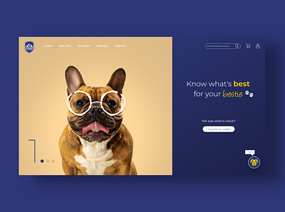 Dog's PAW branding minimal design minimalistic ui ux website