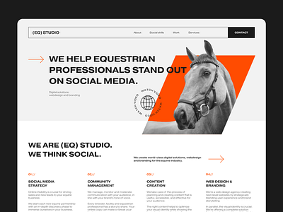 Landing page for (EQ) STUDIO equine interface landing landing page product service ui user experience ux web
