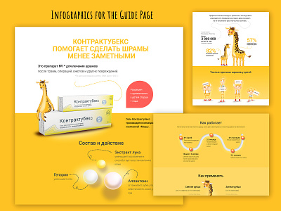 Contractubex branding infographics ui web design