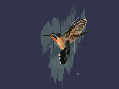 Colibri