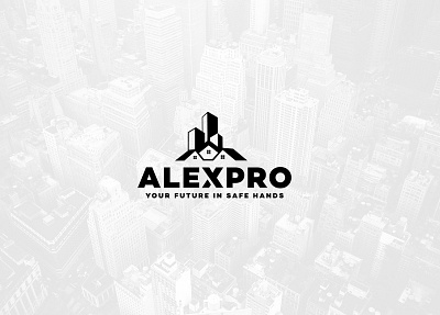 Alexpro Logo Design branding graphic design logo