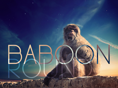 Baboon Round Sans Serif Font typography