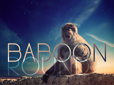 Baboon Round Sans Serif Font