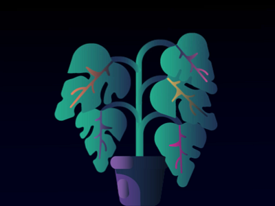Plant with magical veins 2d animation animation branding digitalart flat flat design illustration magic magickal motion design motiongraphics plant vector
