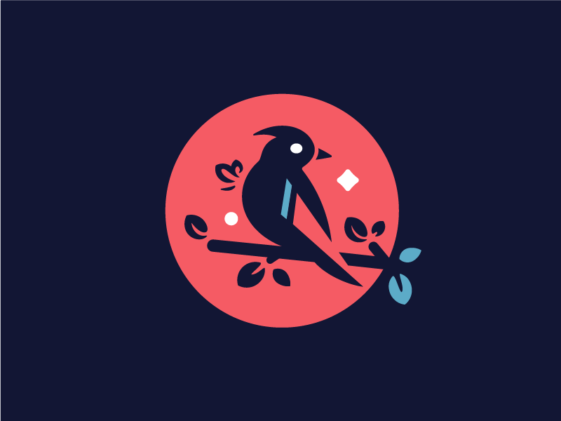 Bird Logo bird logo design albania company business art symbol moon web brand book design logotype identity star animal birds mark icon illustration brand branding
