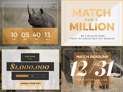 African Wildlife Foundation campaign design email fundraising nonprofit