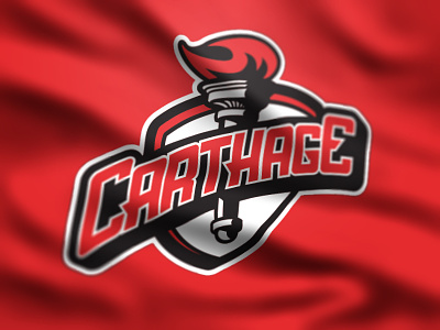 Carthage College Athletics carthage college kenosha sports design