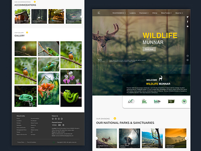 Wildlife 3d animation app branding design graphic design illustration logo motion graphics typography ui ux vector