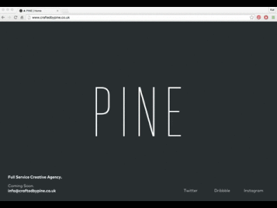 Pine Landing Page css dev development digital front end pine web