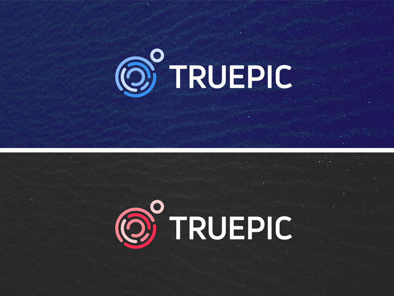 Colors security certify authentic fingerprint logo mark identity design brand identity logo