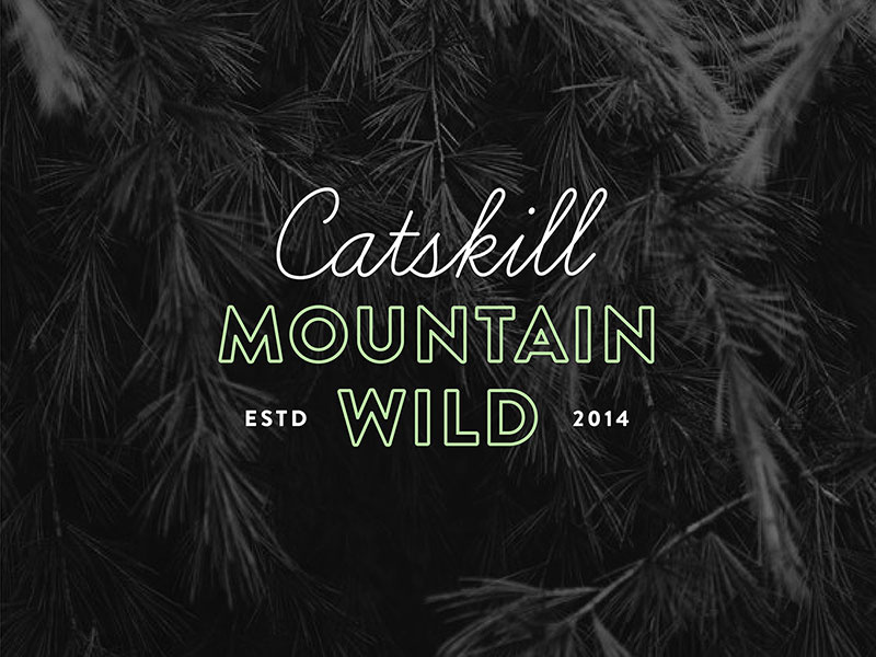 Logo for Outdoor Hiking Guide wordmark hiking outdoors identity branding logo