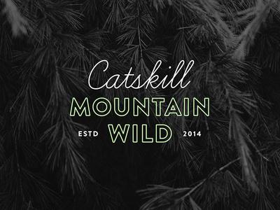 Logo for Outdoor Hiking Guide
