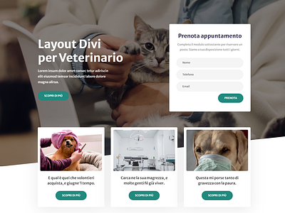 Veterinary Divi Layout branding design divi web wordpress wordpress blog wordpress design