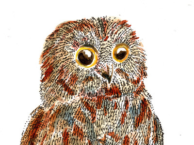 Owl baby bird hand made owl watercolor
