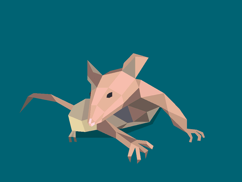 A dead house in a square mouse
