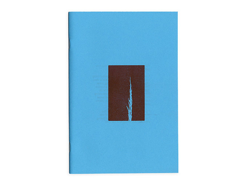 Monoghost - zine zine drawings book risk risograph red blue printmaking