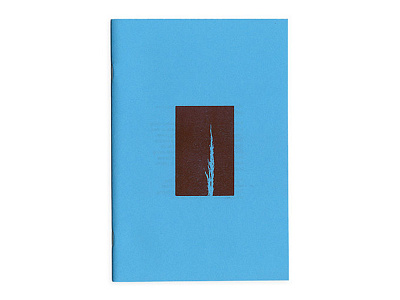 Monoghost - zine blue book drawings printmaking red risk risograph zine