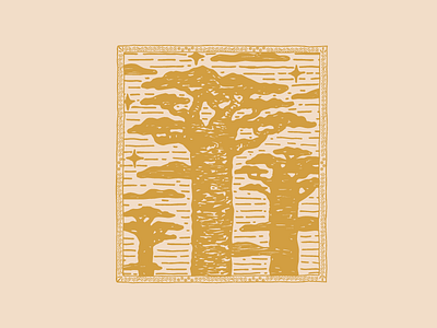 baobab baobab drawing illustration madagascar penandink