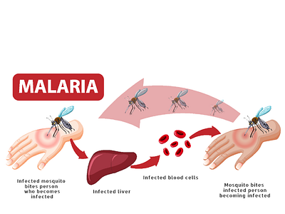 malaria ppt 1psd