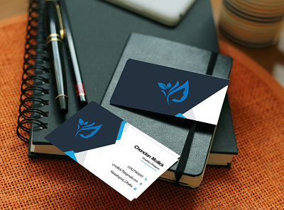 Business card ( Demo ) design flat logo minimal