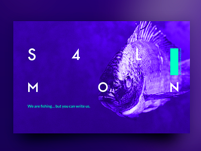 SALMON colors prototype salmon web webdesign