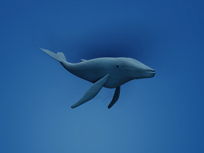 Blue whale 3dart 3dmodel 3dmodeling 3drender blender3d cartoon illustration characterdesign illustration lowpoly lowpoly3d whales