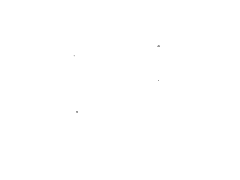 TipoSur animation motion graphic logo type motion graphic after effect