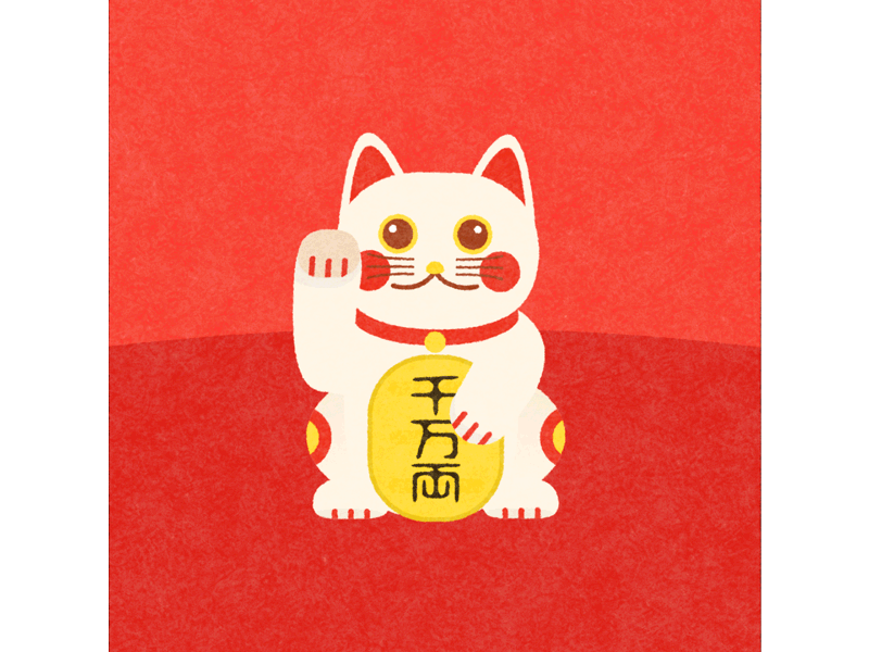 LUCKY CAT after effects animal animation cat character design design graphic design illustration motion design motion graphics