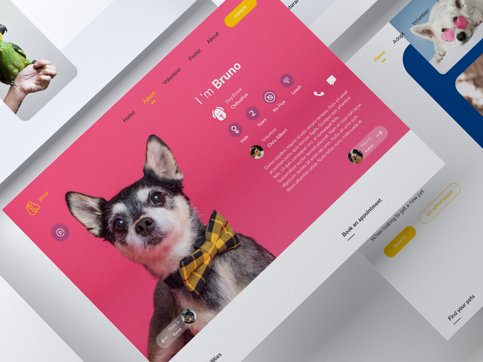 pet adoption website by Manoj Sreeram on Dribbble