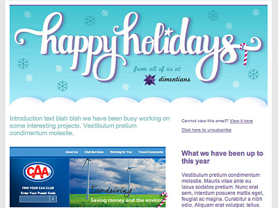 Holiday Newsletter christmas holiday illustration newsletter type