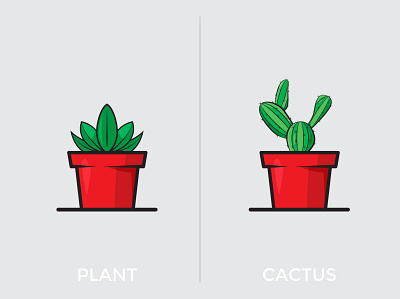 Plant and Cactus Vector cactus plant illustration