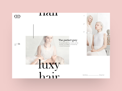 Hair slider #1 grey hair mondrianizm slider style ui uidesign ux uxdesign white