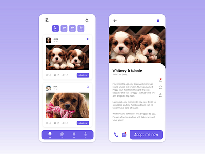 Pet Adoption Mobile App // UI Design app design flat illustration minimal mobile app design mobile design mobile ui ui ux xd design
