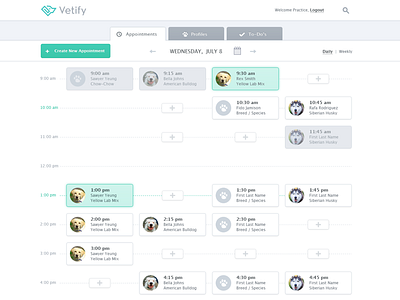 Vetify Admin Daily Schedule admin appointments dashboard health pets schedule vets web