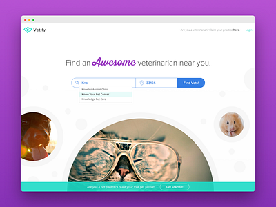 Vetify Landing Page 2.0 health landing page marketing site pets vets website