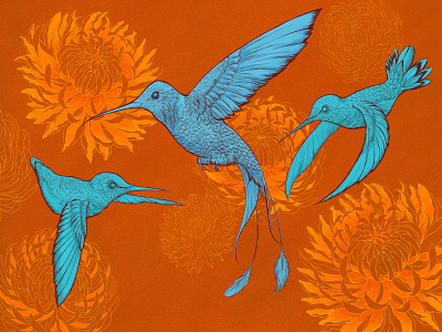 Three Hummingbirds @design animal bird blue branding crysanthemum design elledhita green hummingbird illustration illustration art pattern vintage