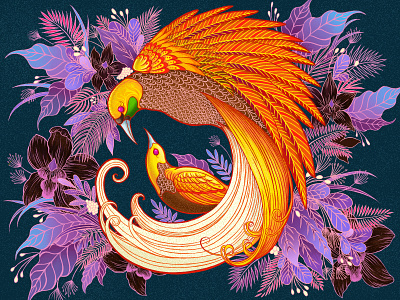 Bird of Paradise animal bird bird of paradise cedrawasih design elledhita illustration illustration art indonesia papua new guinea