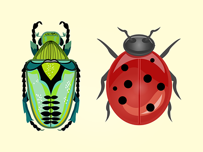 bugs animals beetle bug bugs design digital digital art digital illustration flat fly icon illustration insect insects ladybug vector
