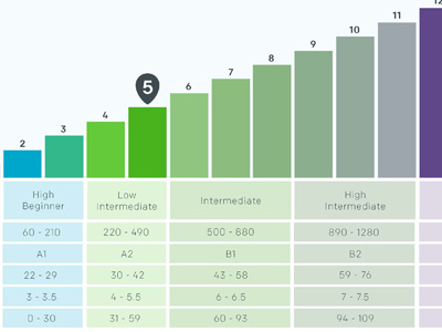 Re-design of Language Score Chart chart graph language
