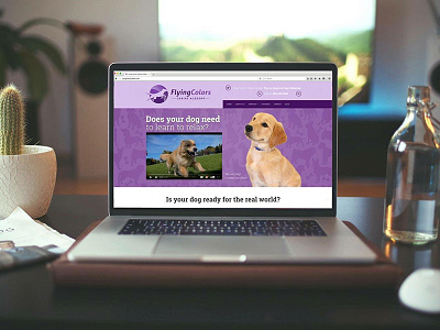 Dog Training Website Design canine dog training responsive web web design website design wordpress